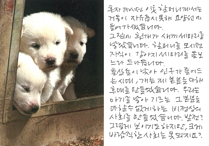 - 옆 집 흰 개가 새끼를...