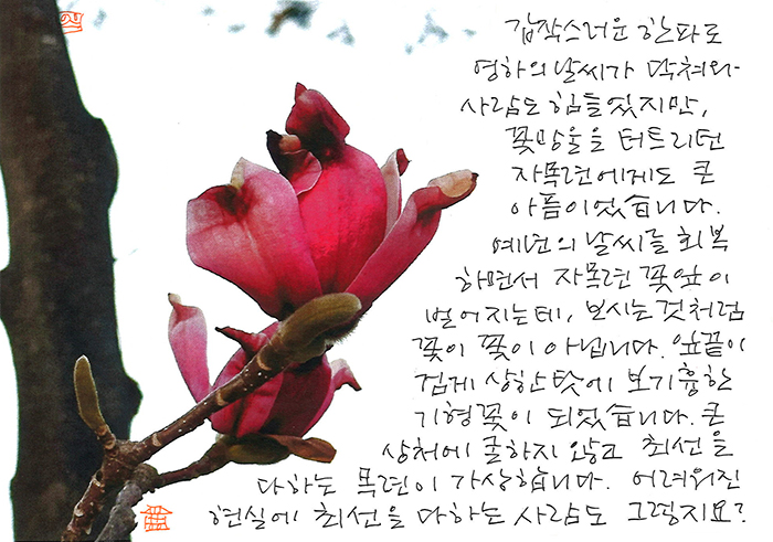 - 큰 상처에 굴하지 않는...