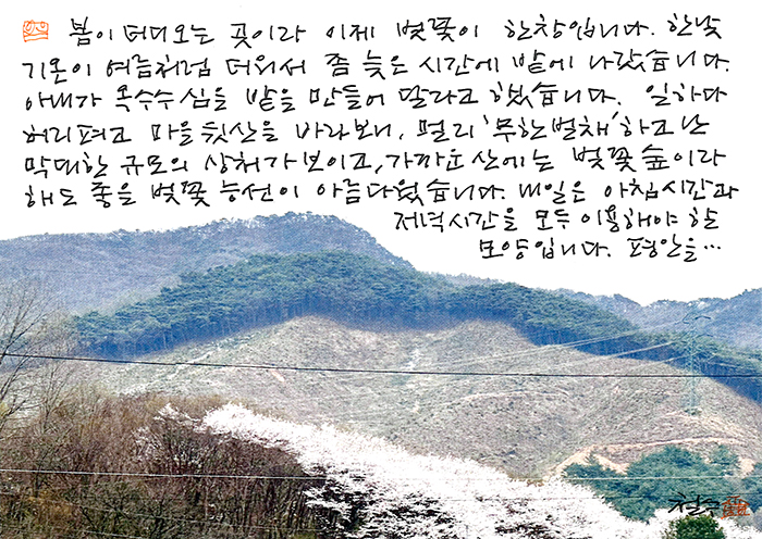- 한낮이 여름처럼 더워서...