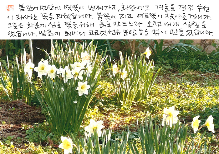 - 봄 깊어, 먼산에 ...