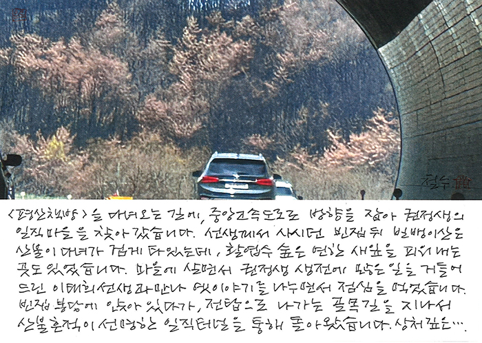 - 산불이 다녀간 빌뱅이 산에...