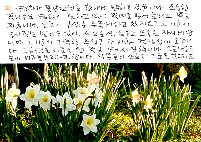 - 꽃나무도 조용히 일하고 있어...