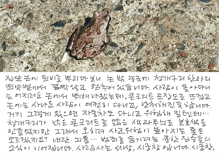 - 농로에 청개구리 한 마리...