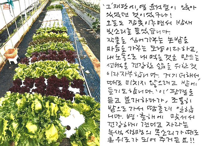 - '이'판결에 분개하다가...