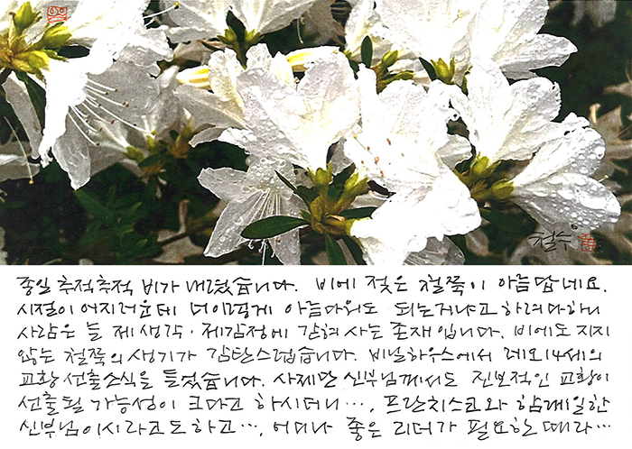 - 레오 14세 교황 선출 소식을...