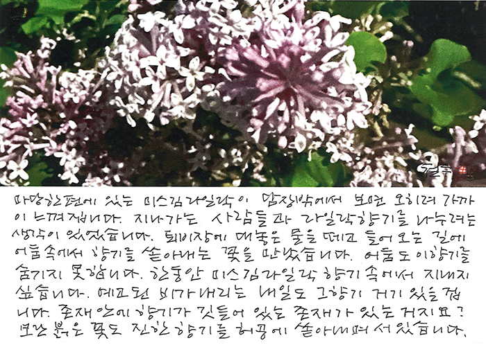 - 어둠도 이 향기를 숨기지 못하고...