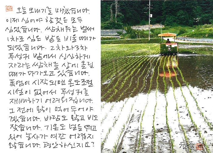 - 이제,심을 것을 다 심었습니다.