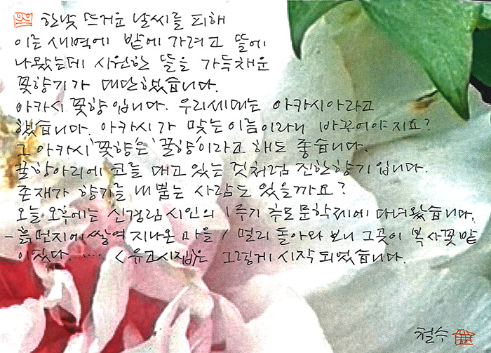 - 뜰을 가득 채운 꽃향기가...