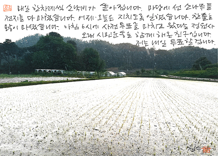 - 저는 내일 투표할 겁니다.
