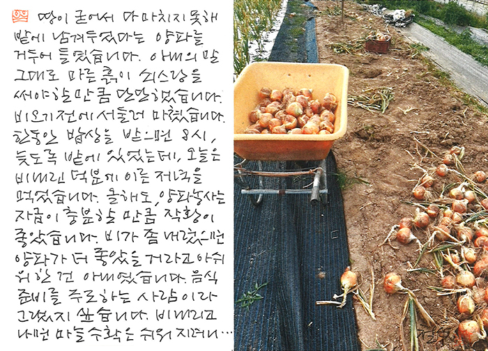 - 비 오기 전에 서둘러...