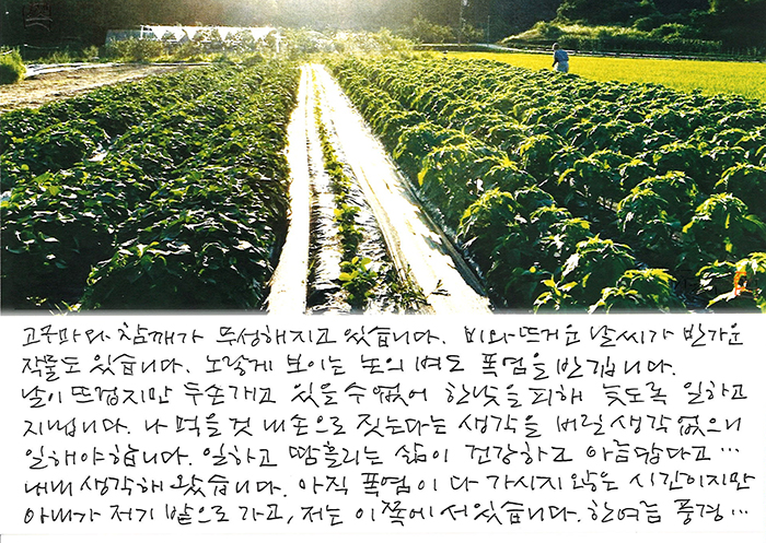 - 일하고 땀흘리는 삶이...