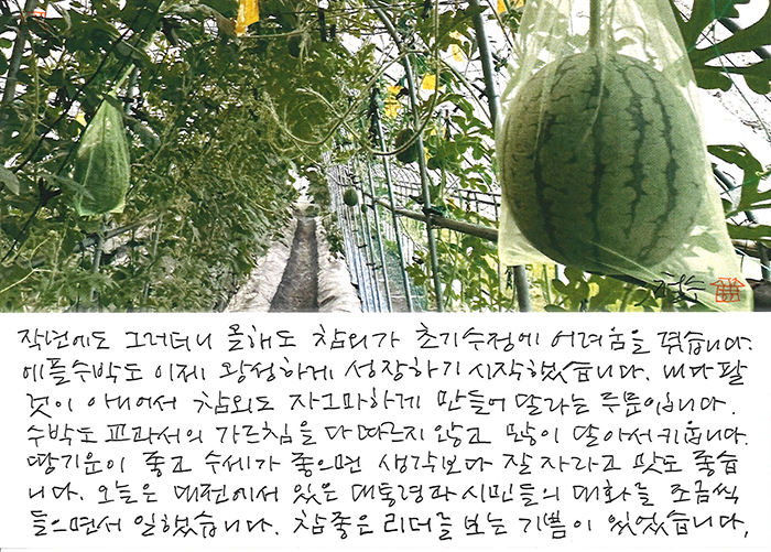 - 내다 팔 것이 아니어서...
