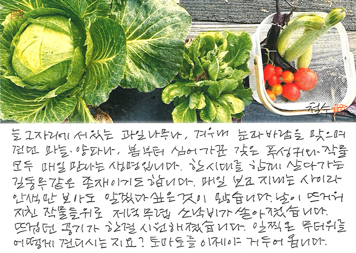- 일찍 온 무더위를 어떻게 견디시는지...
