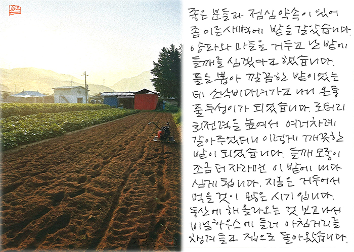 - 들깨를 심으려고....