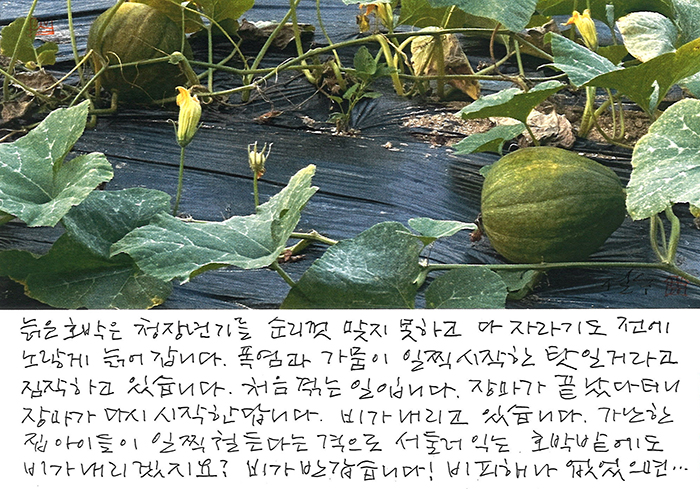 - 비가 반갑습니다!