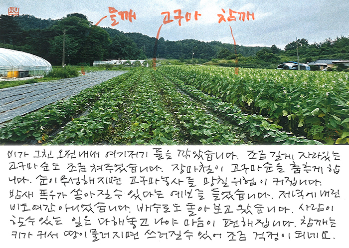 - 밤새 폭우가 쏟아질 수 있다는...