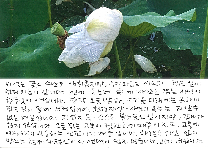 - 전에 못 보던 폭우에...