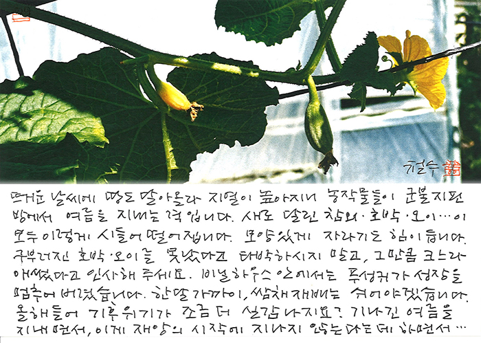 - 군불 지핀 방에서 여름을...