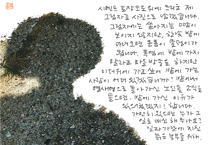- 밭에 가신 이유가 있으셨겠지...