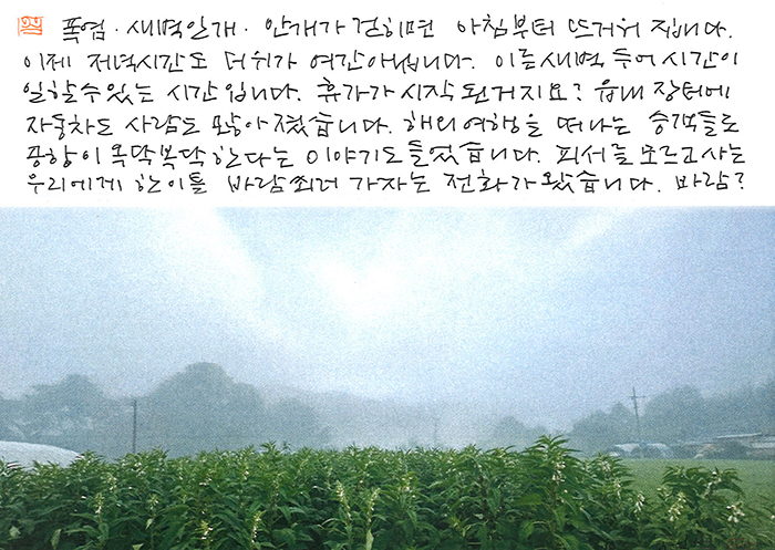 -바람?