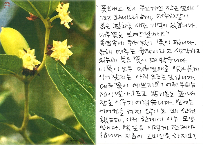 - 지금이 고비인 듯...