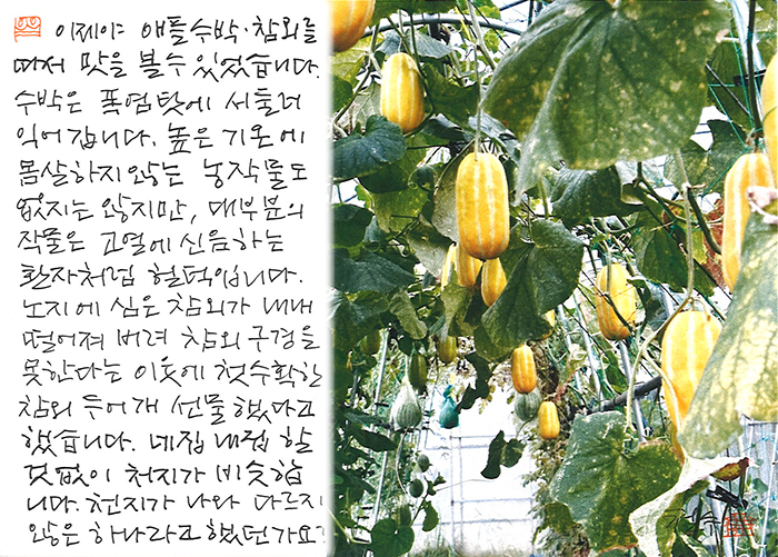 - 고열에 신음하는 환자처럼...