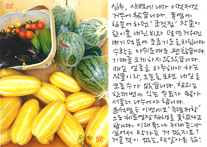 - 입추, 새벽에 나가...