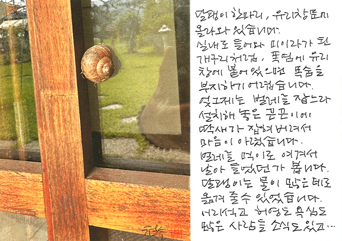 - 허영도 욕심도 많은 사람들...