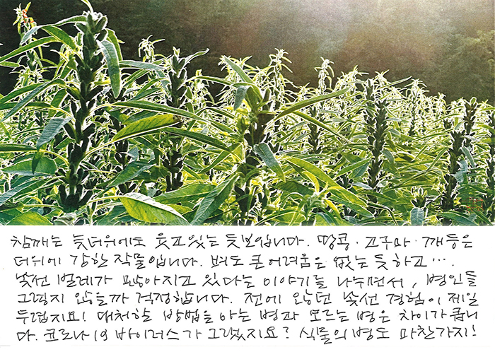 - 낯선 경험이 제일 두렵지..