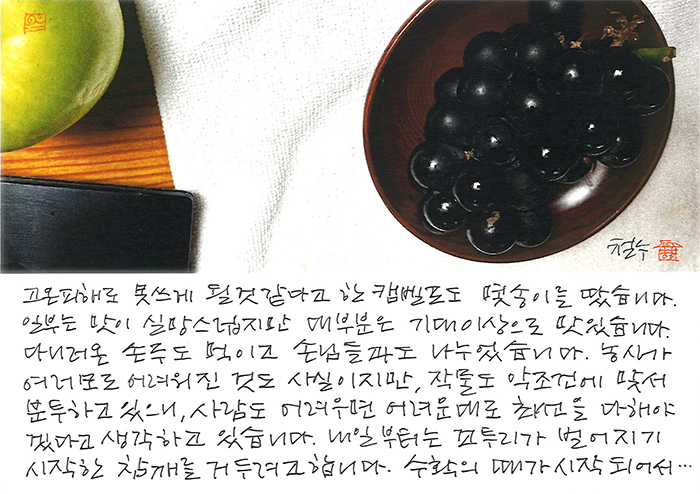 - 식물들도 분투하고 있으니...