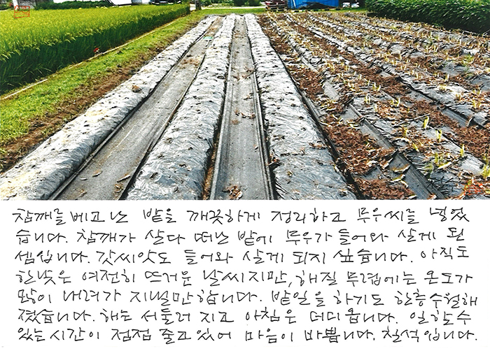 - 해는 서둘러 지고...