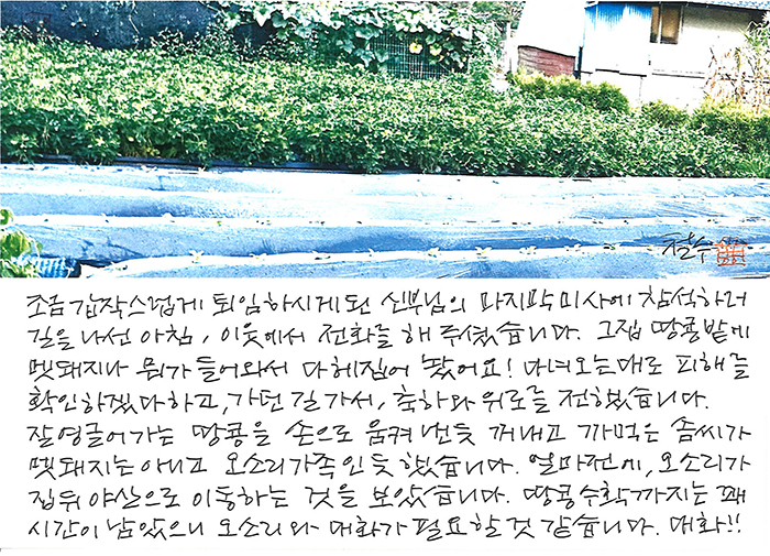 - 오소리와 대화가 필요해...