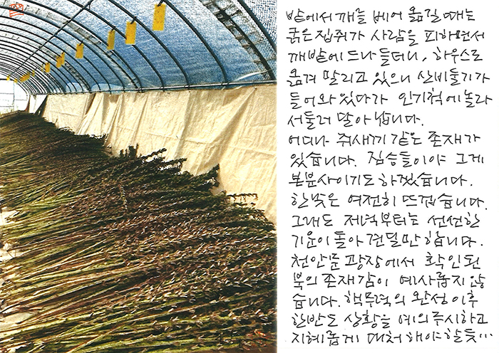 - 천안문 광장에서 확인된...