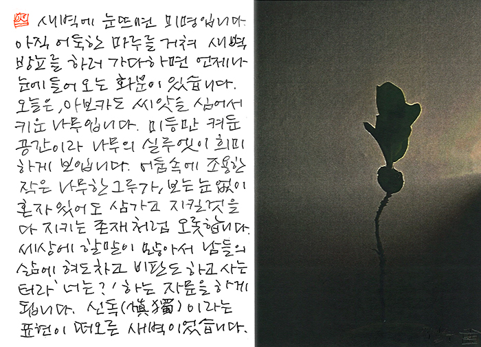 - 너는?