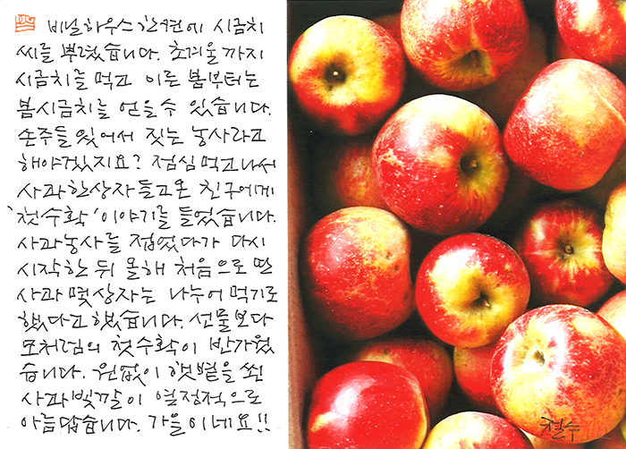 - 붉은 사과,...가을이네요!