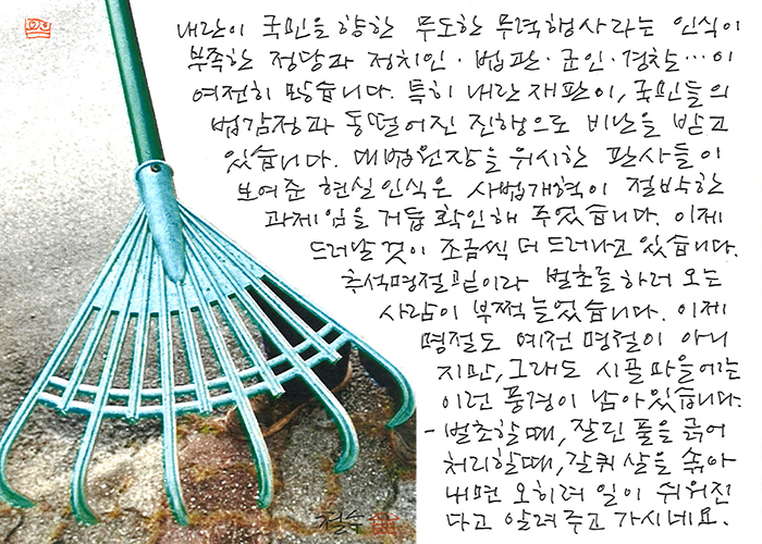 - 갈퀴살을 솎아내면 오히려...