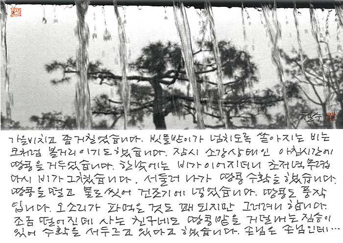 - 손님은 손님인데...