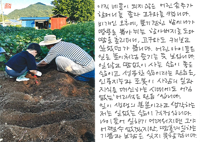 - 아이들은 일을 놀이처럼...