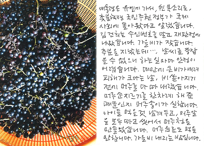 - 가을비 내리는 밤...