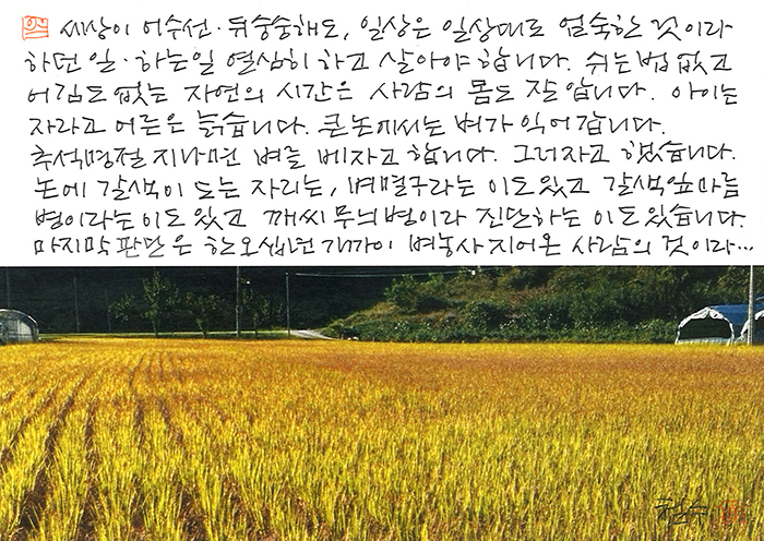 - 일상은 일상대로 엄숙한 것이라...