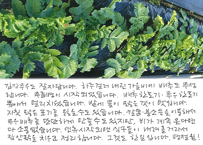 - 명절 밑!