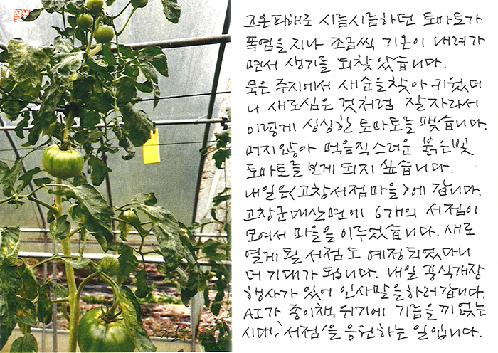 - <고창서점마을>에...