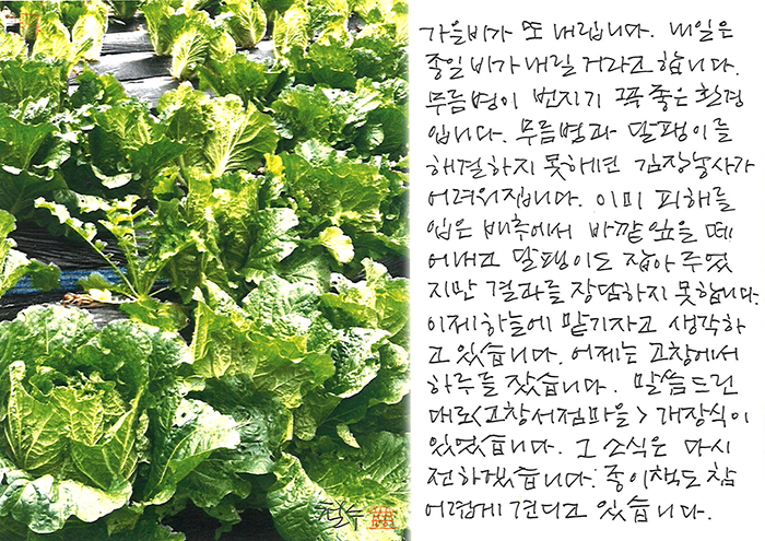 - 또 가을비가 내립니다.