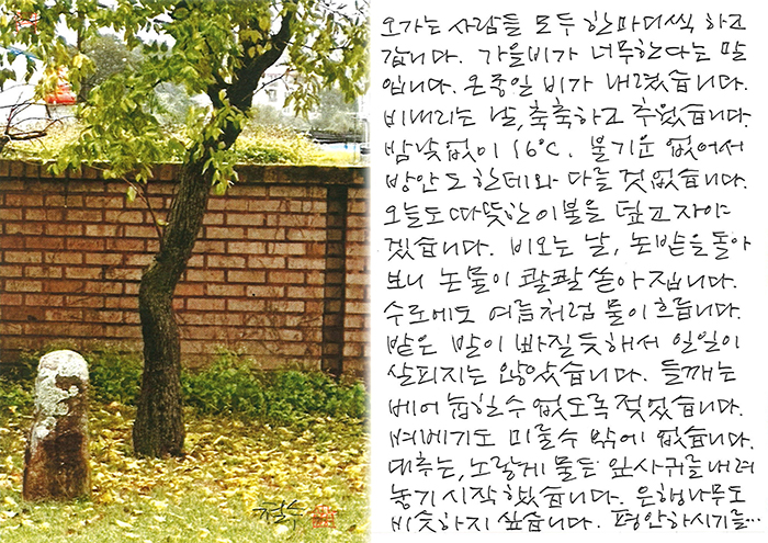 - 가을비가 너무한다는 ...