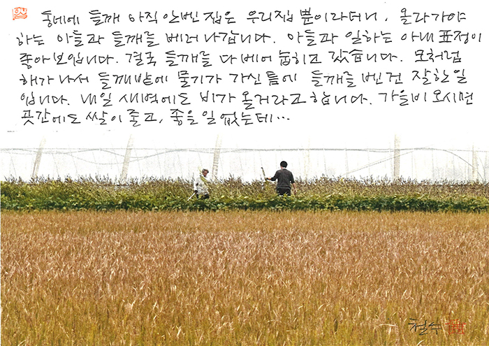 - 모처럼 해가 나서...