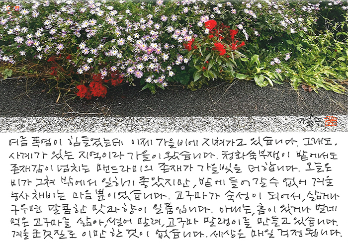 - 그래도, 가을이 왔습니다.