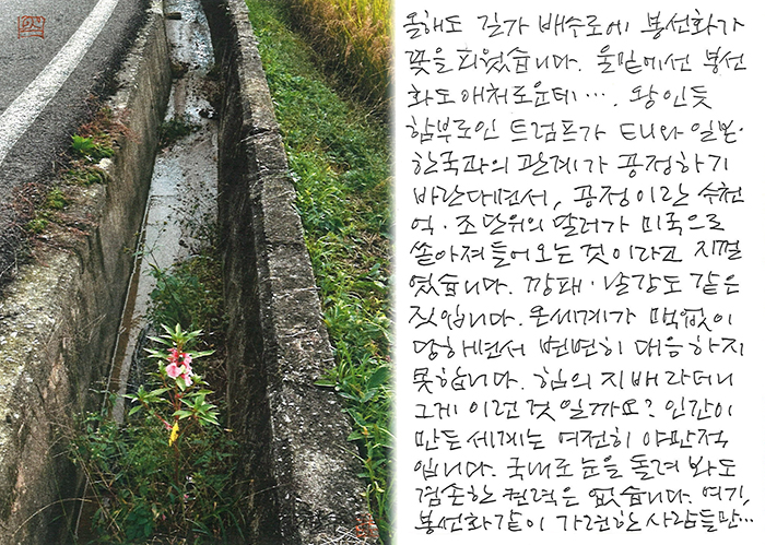 - 트럼프의, 공정이란...
