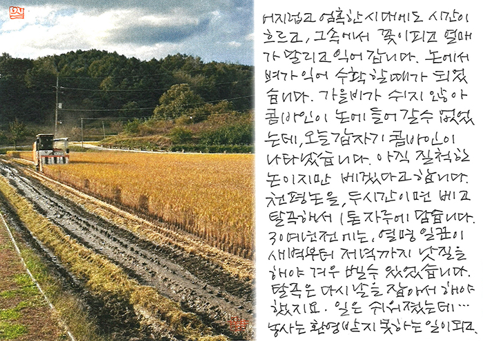 - 천평 논을, 두 시간이면...
