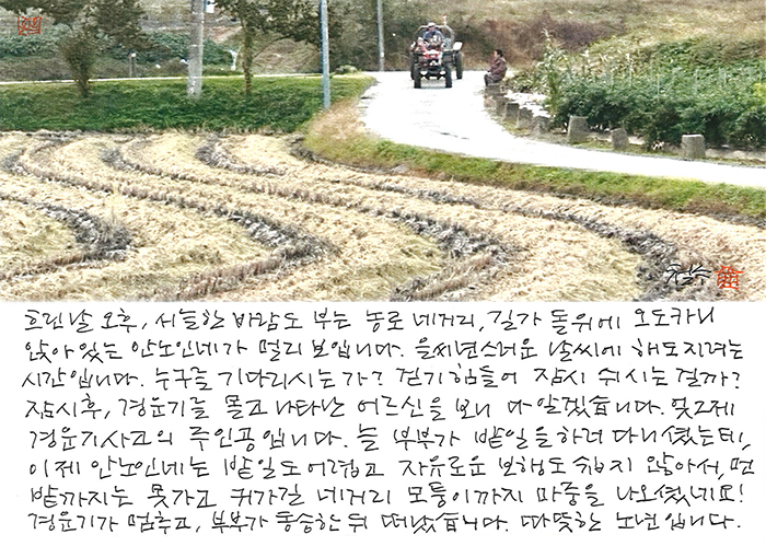 - 따뜻한 노년입니다.