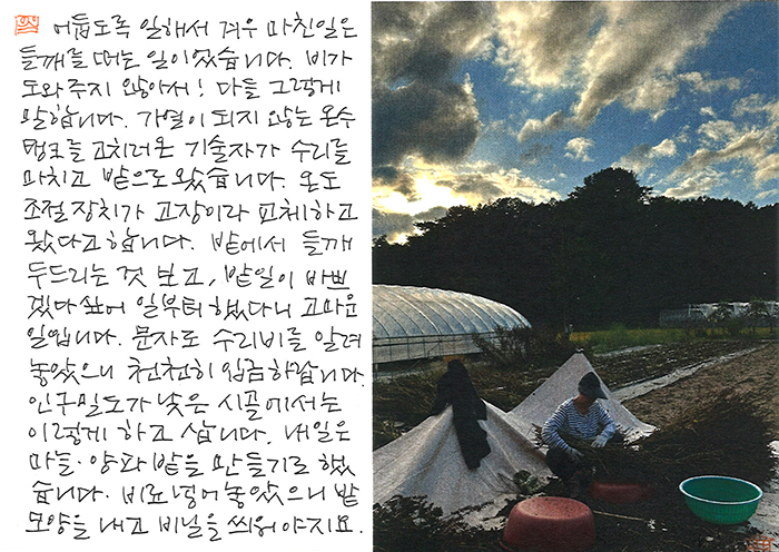 - 어둡도록 일해서 겨우 마친 ...